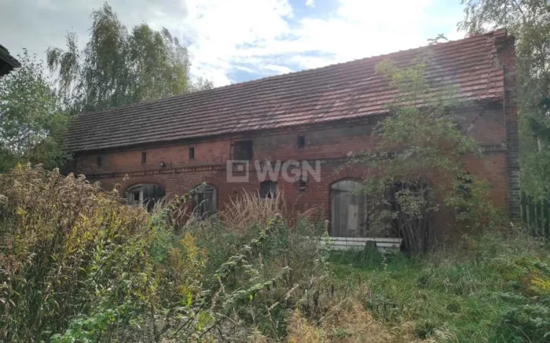 Dom na  sprzedaż Krzepielów - Krzepielów, dom z działką 71 ar, sprzedam, cena 260 000 zł
